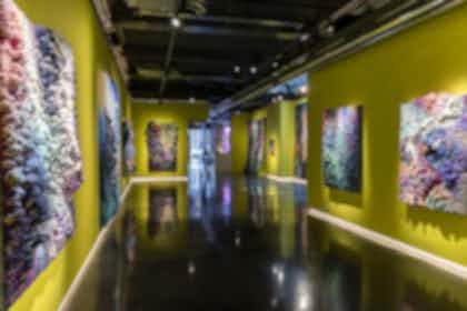Main Gallery 11